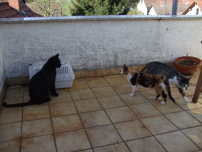 Ostern 2007 Orleshausen 072 